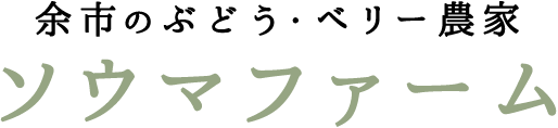 余市のぶどう・ベリー農家 ソウマファーム